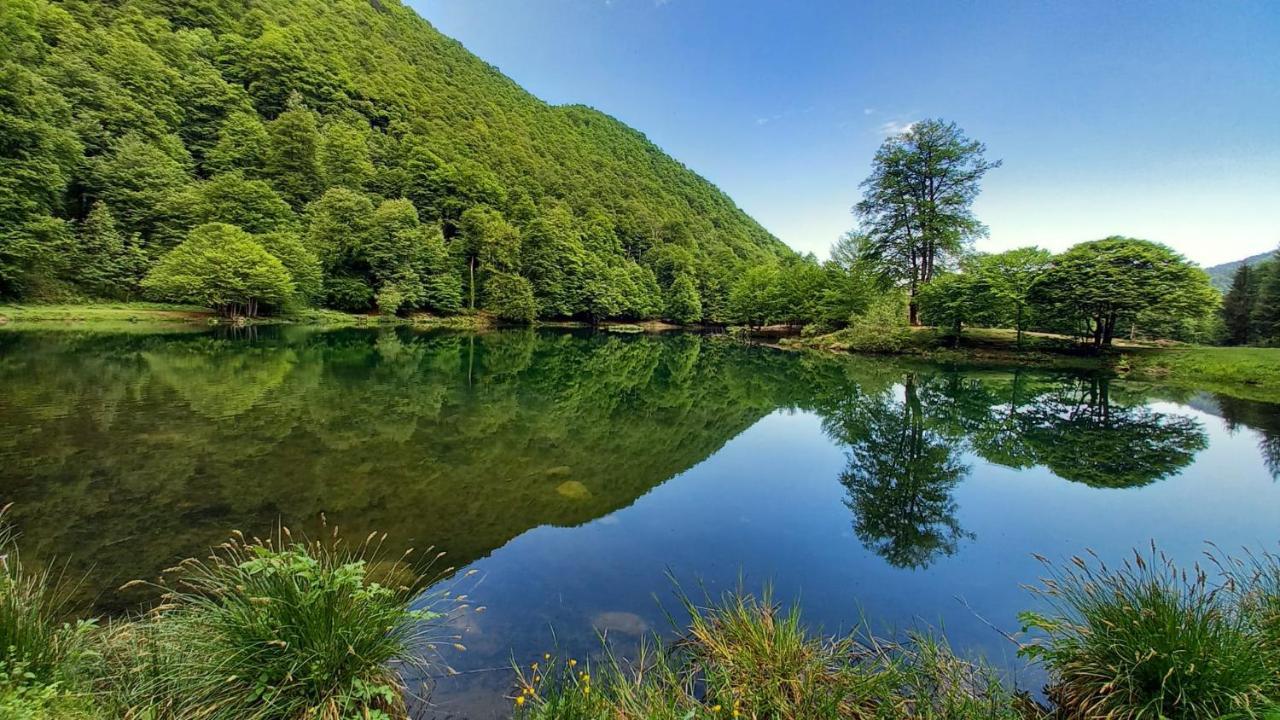 Le Jardin De Moulis, Saint Girons, Ariege, Pyrenees, Bed and Breakfast Exteriör bild