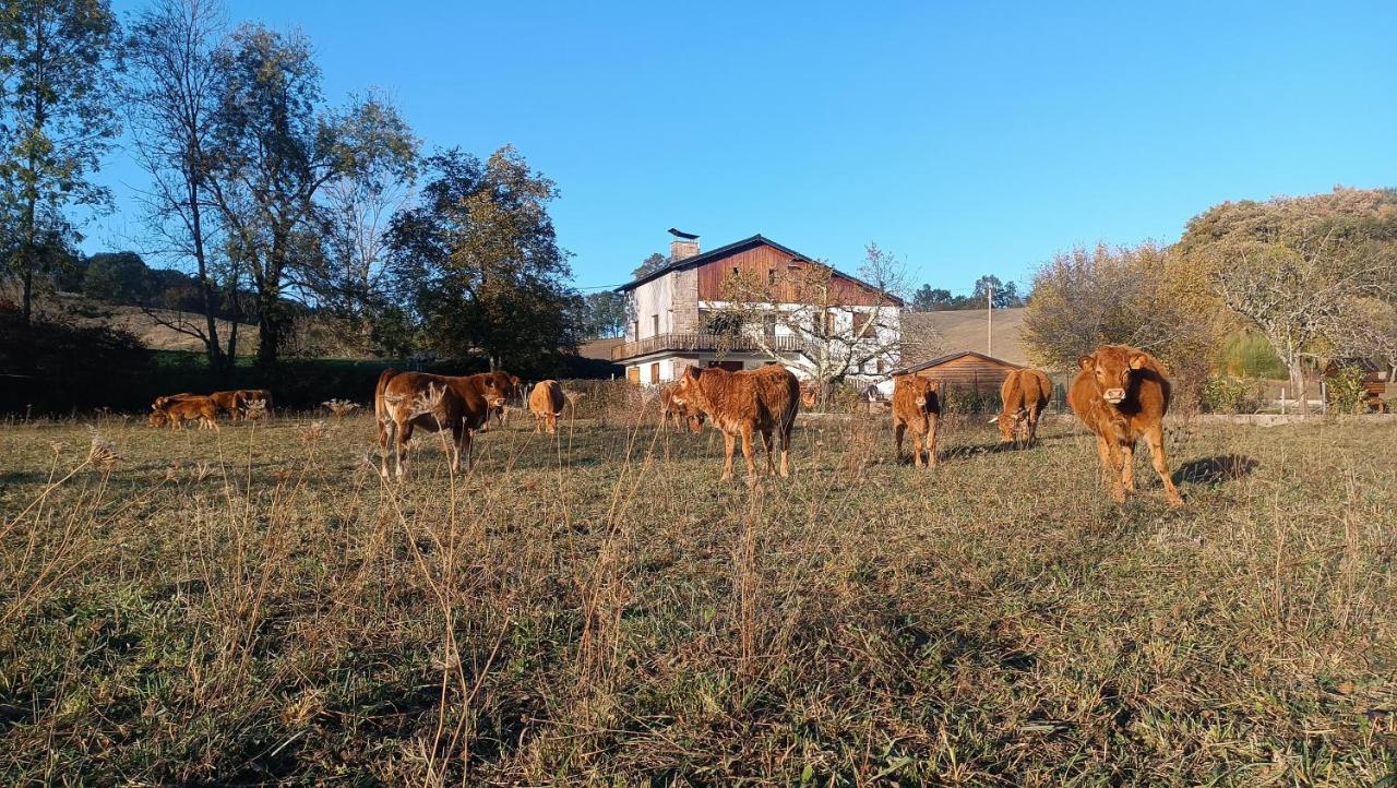 Le Jardin De Moulis, Saint Girons, Ariege, Pyrenees, Bed and Breakfast Exteriör bild