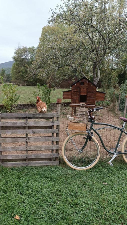 Le Jardin De Moulis, Saint Girons, Ariege, Pyrenees, Bed and Breakfast Exteriör bild